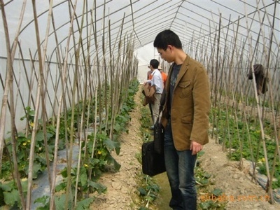 苦參堿殺菌劑——綠色植保新選擇，誠邀廣東地區(qū)經(jīng)銷商合作共贏