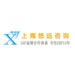 **上海快消業(yè)數(shù)字治企SAP合作合實(shí)施引導(dǎo)主精